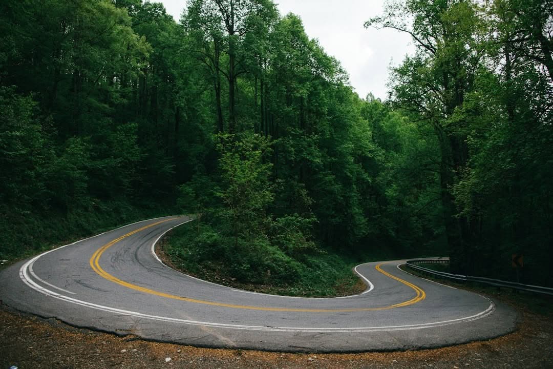 Symbolbild: Umfrage: Viele Motorradfahrende erleben Beinahe-Unfälle auf Landstraßen